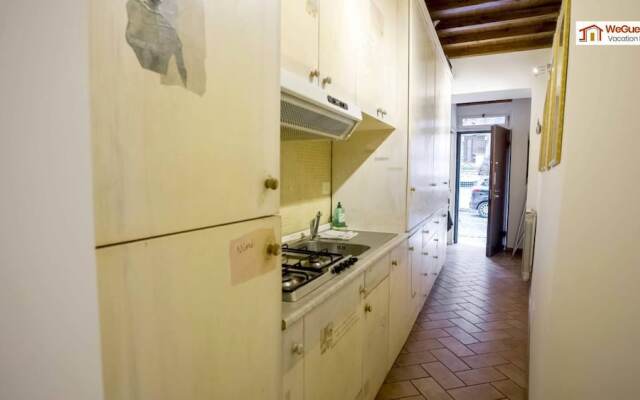 Sofia alla VII coortein trastevere