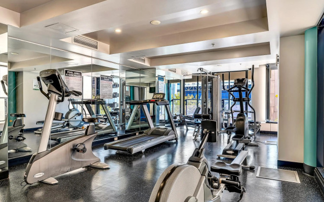 Swainson At Horizons