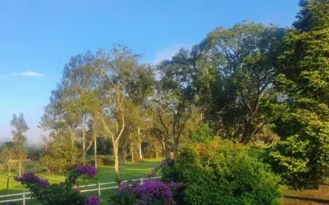 Hotel Fazenda Pedra Selada