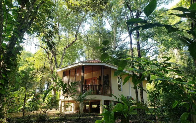 The Cabins at Monkey Fall