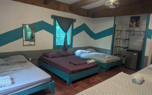 Tasty Dayz Hostel