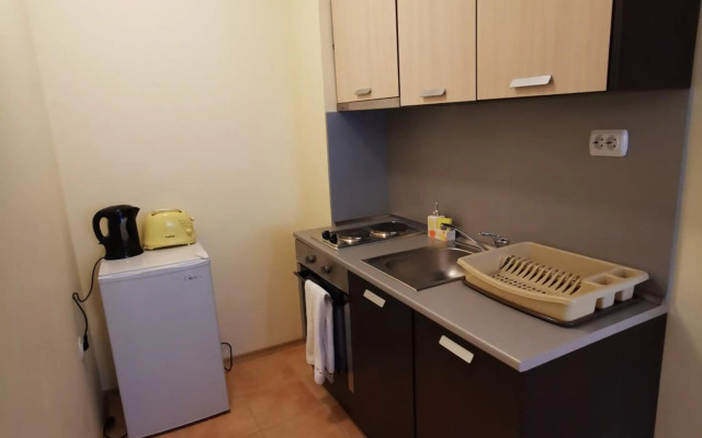 Ski Area @ Apartment Rosea 205 @ Pamporovo