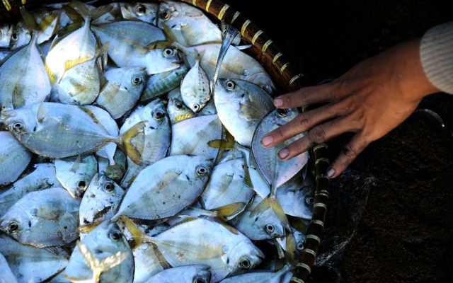 Surya Kencana Seaside Hotel