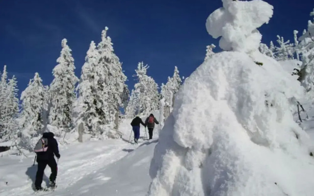 Mountain Apartment in Bad Kotzting