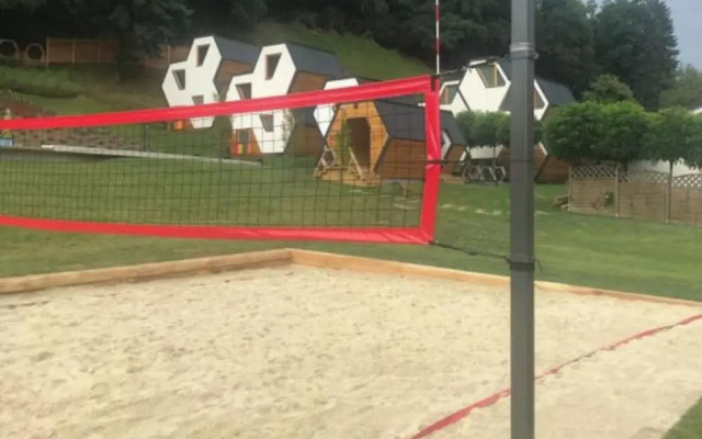 Wellness Suite Viola