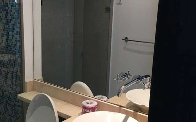 Palmetto Eliptic 1501