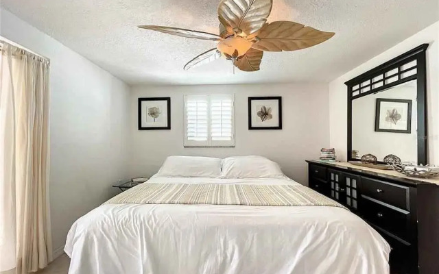 Enjoy Sunset with Dolphin and Manatee