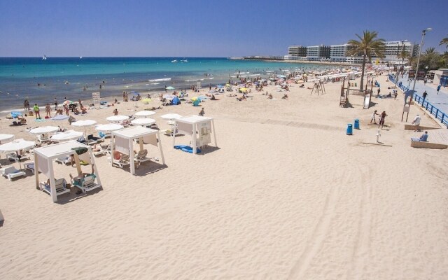 LARGE Apartment with large and sunny Terrace - Garden & Outdoor Gym, ALICANTE CENTER