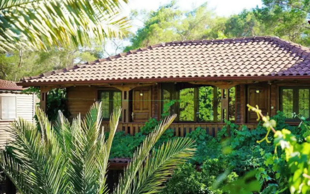 Luna Dorada Hotel