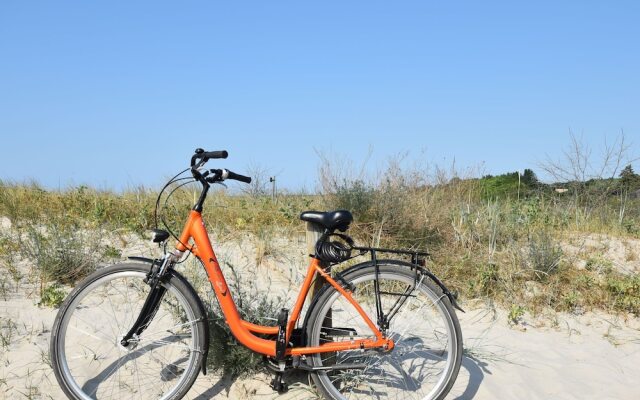 Modern Bungalow in Rerik With Terrace