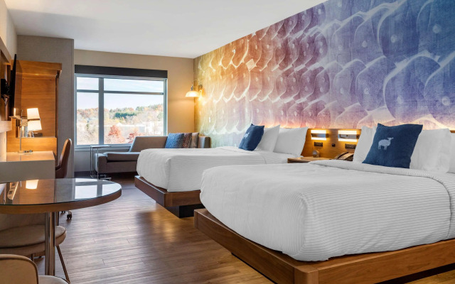 Cambria Hotel Manchester South Windsor