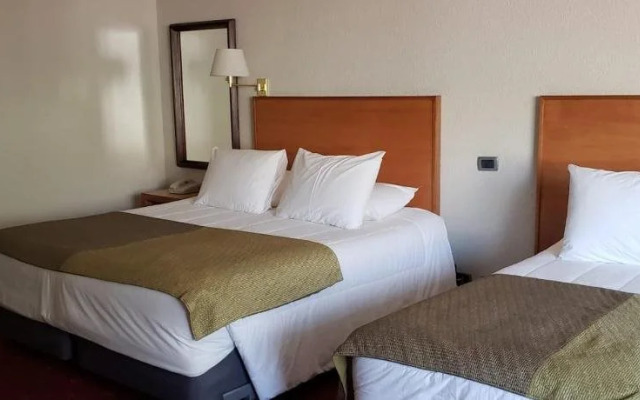 Hotel Gavina Express