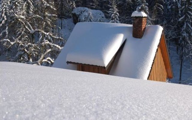 Paradies im Schwarzwald