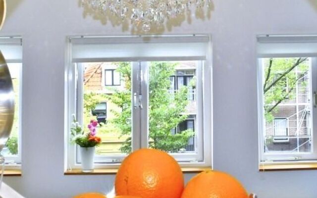 Luxury Apartments Delft V History Written