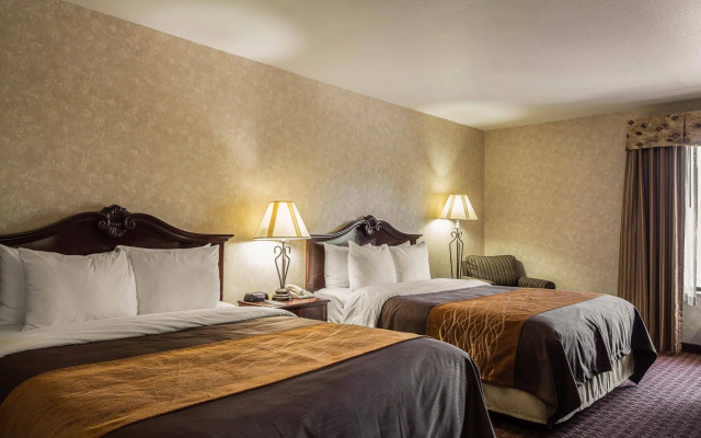 Comfort Inn Silicon Valley East