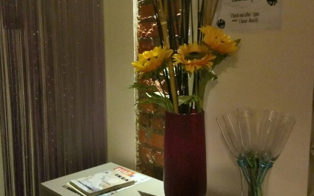 Petra Lodge and Homestay