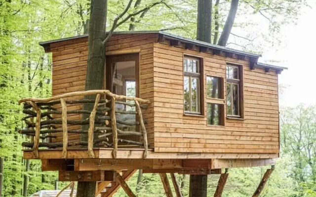 Robins Nest Baumhaushotel