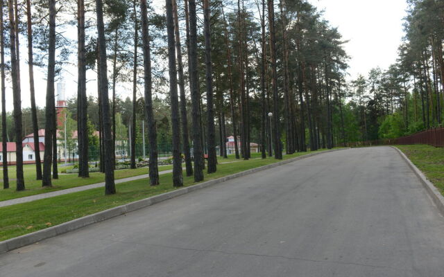 Сосны (Гомельская обл.)