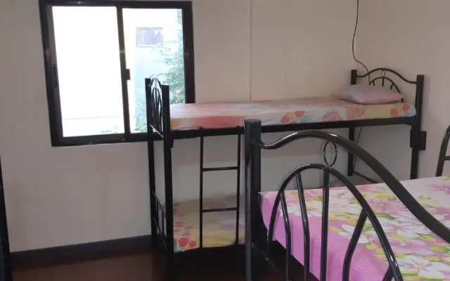 Screaming Gecko Hostel Air-Con