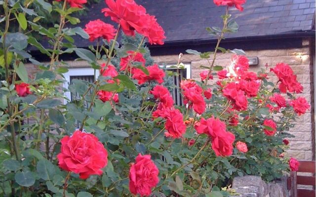 Ellen House B&B