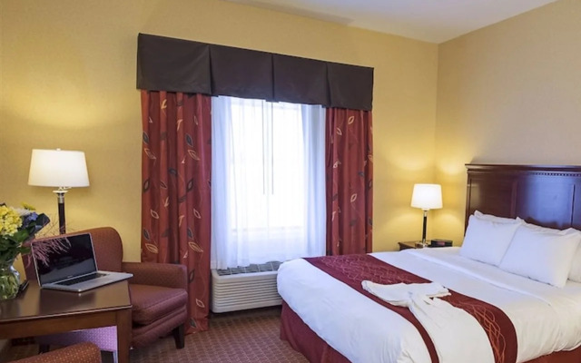 Comfort Hotel Airport