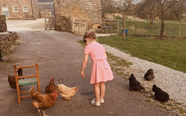 Gratton Grange Farm B&B