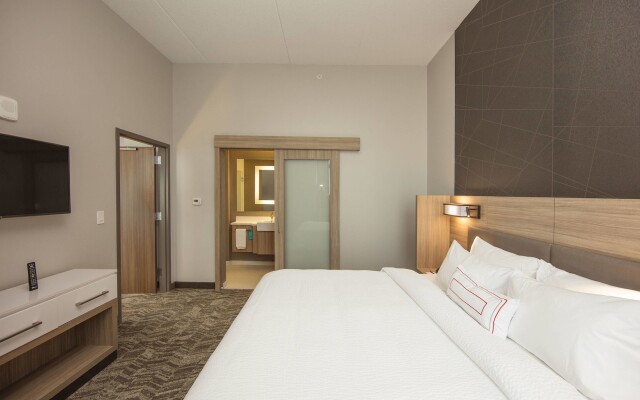 SpringHill Suites by Marriott Athens Downtown/University Area