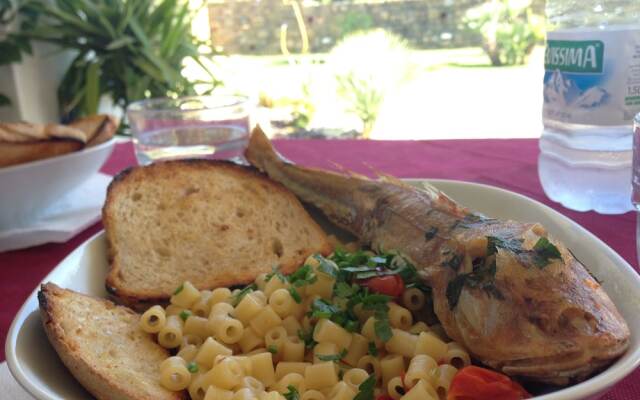 B&B Cuore del Cilento