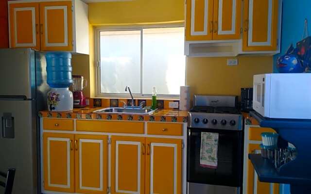 New! Cabana Frida 1/bdr