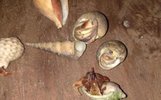 Tawan Bar and Bungalow