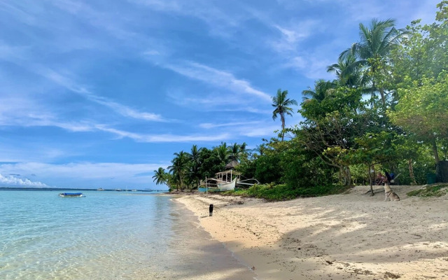 Triangle Palms Siargao