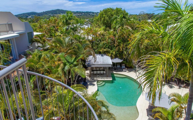 Noosa Tropicana