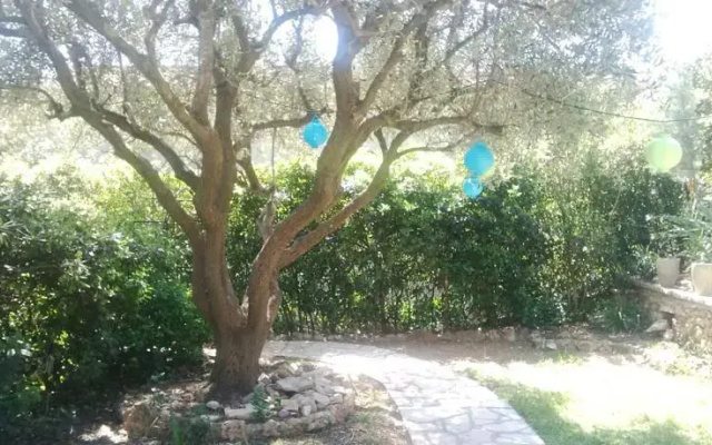 Vert et Bleu