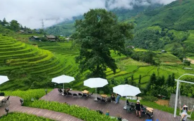MT House Sa Pa - Mountain & Terraced fields View And Trekking Tour