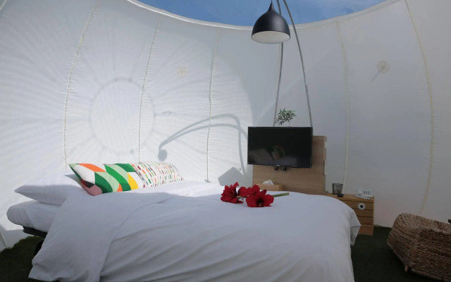Bubble WOW Bali