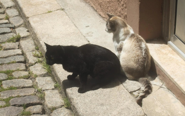 Sweet house in Oporto center