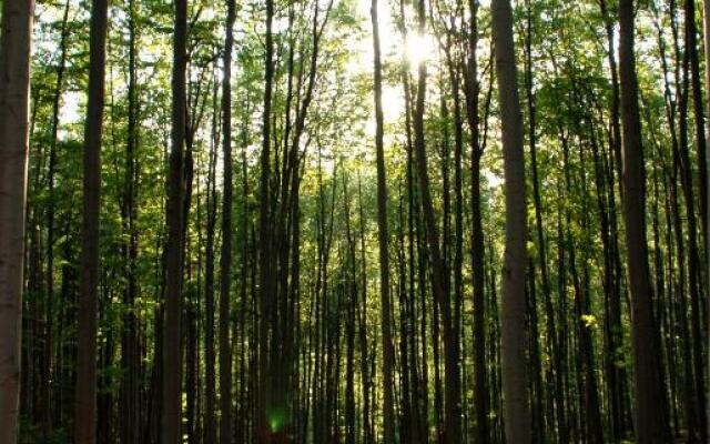 Bálint Apartman - In the heart of Miskolc