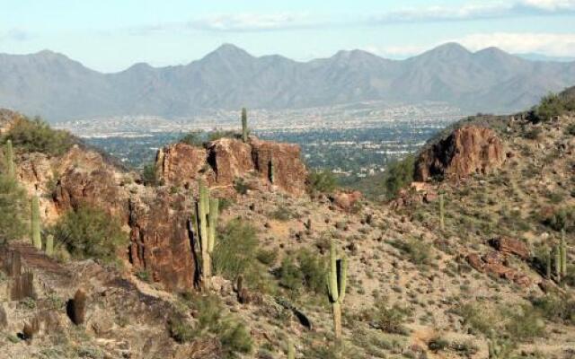 Phoenix Condo