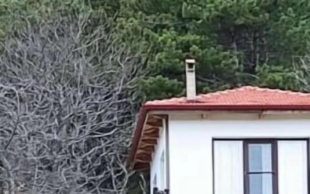 Torrhebia Dag Evi