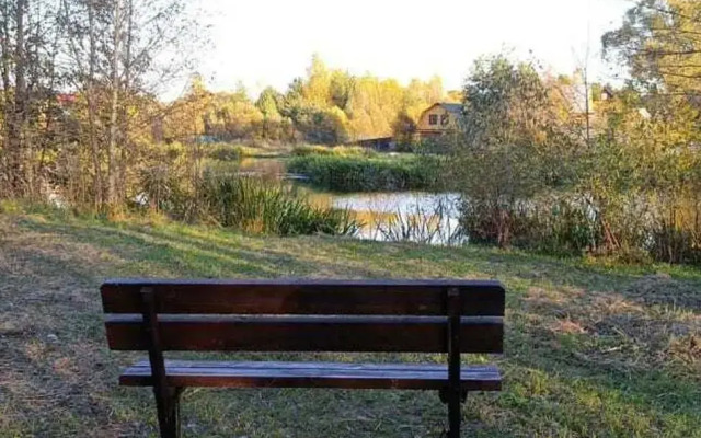 Рябинушка 1