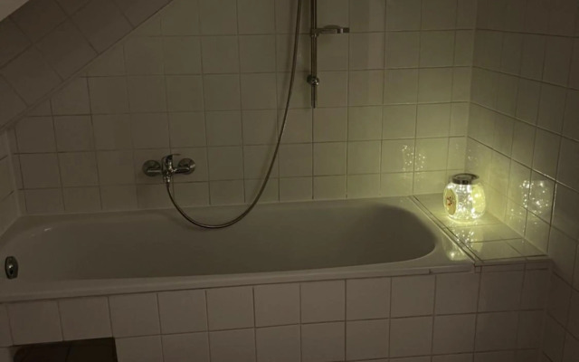 Ruhiges Dachgeschoß CityApartment im Zentrum Wiens