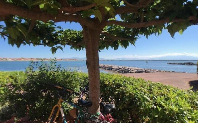 Appartement Port Barcarès, 2 pièces, 6 personnes - FR-1-81-467