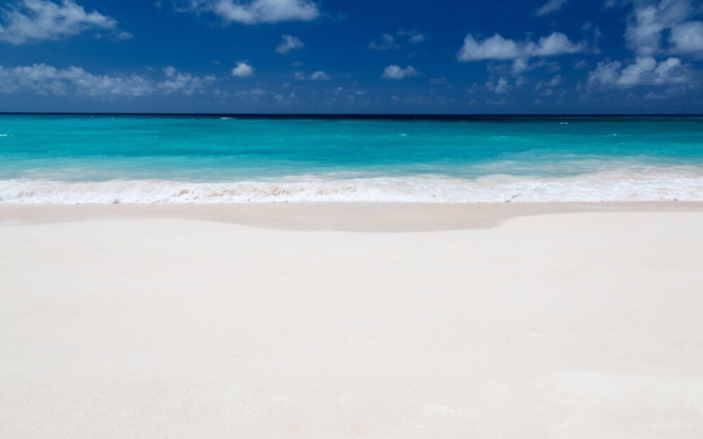 Luxury Sunny Isles Beach Condos