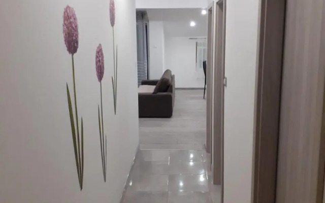 Apartmani Dream