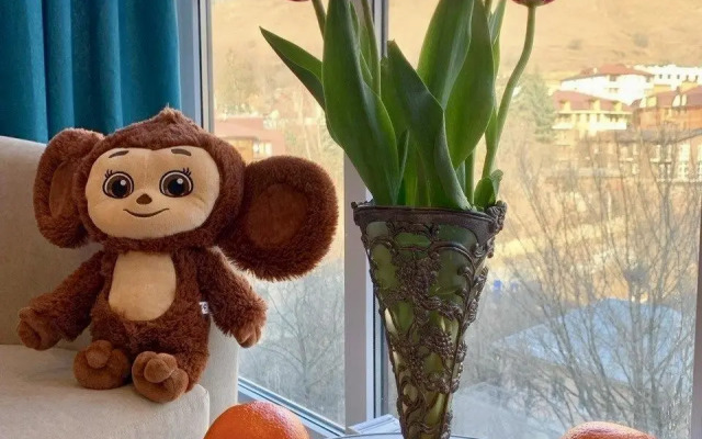 Апартаменты на улице Декабристов 36/2