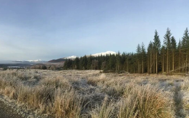 Callander Meadows