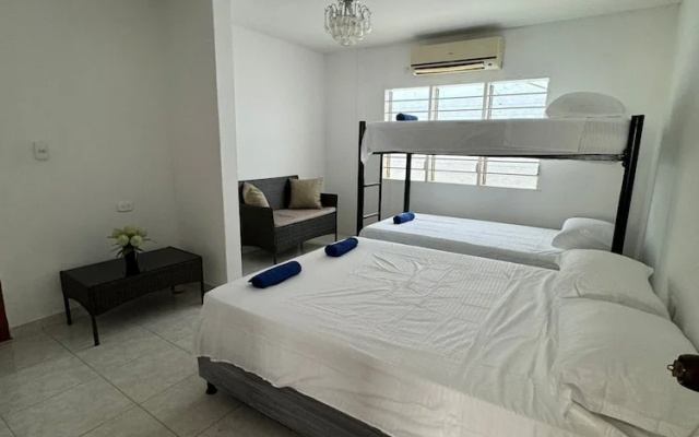 Calipso Dive And Pet Center - Hostel in Santa Marta - Photo 3