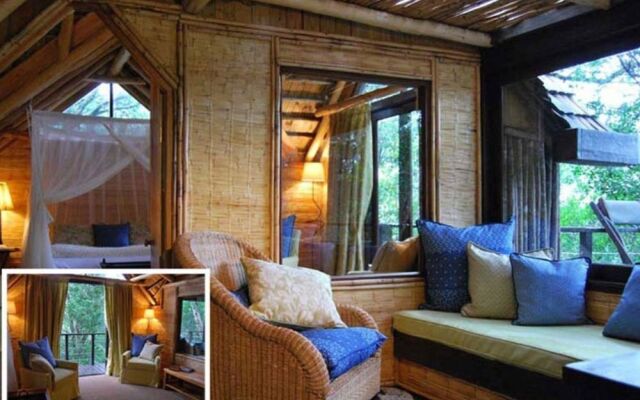 Phantom Forest Eco Reserve
