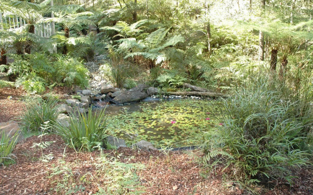 Myers Creek Cascades Luxury Cottages