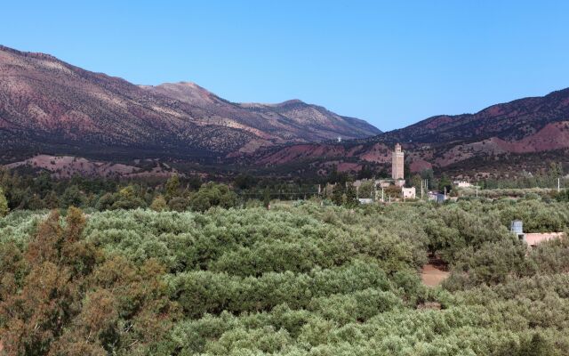 Mohatirste